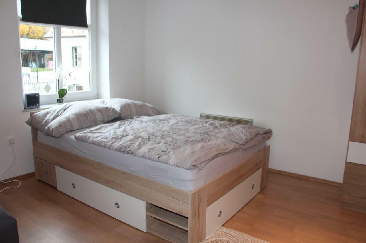Apartment Na skali Kranj Bagian luar foto