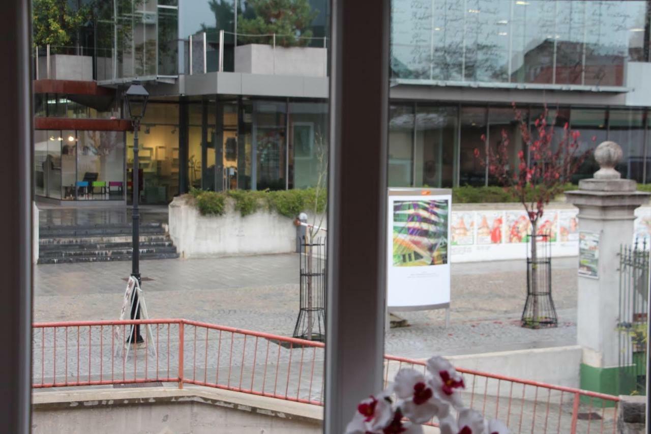 Apartment Na skali Kranj Bagian luar foto