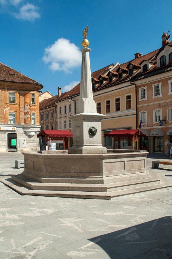 Apartment Na skali Kranj Bagian luar foto